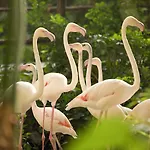 Resort Tropical Islands 4*