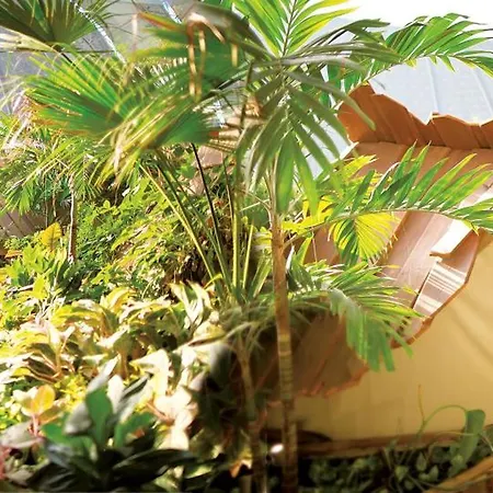 Tropical Islands 4*
