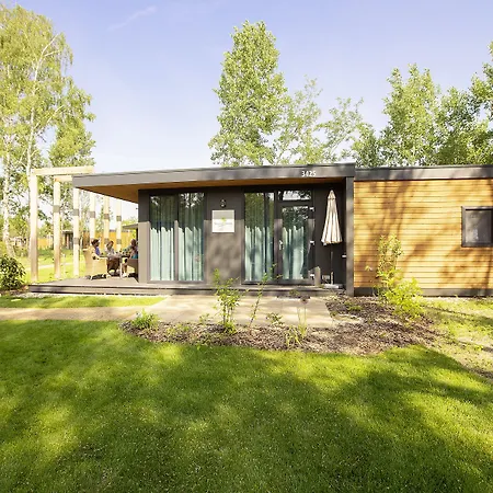 트로피칼 아일랜드