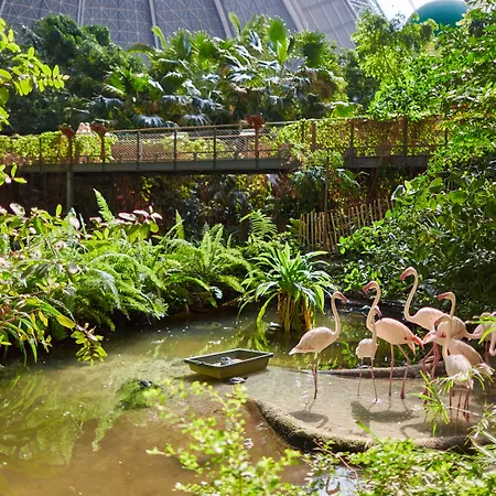 Tropical Islands 4* Krausnick-Groß Wasserburg