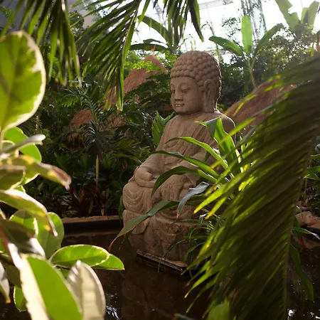 Tropical Islands