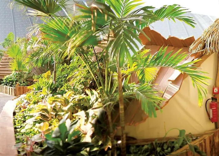 트로피칼 아일랜드 4*