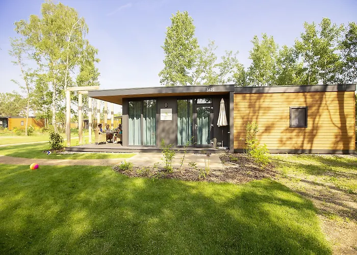 트로피칼 아일랜드