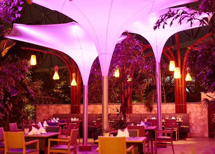 트로피칼 아일랜드 크라우스닉