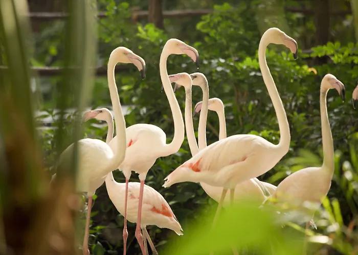 Resort Tropical Islands 4*